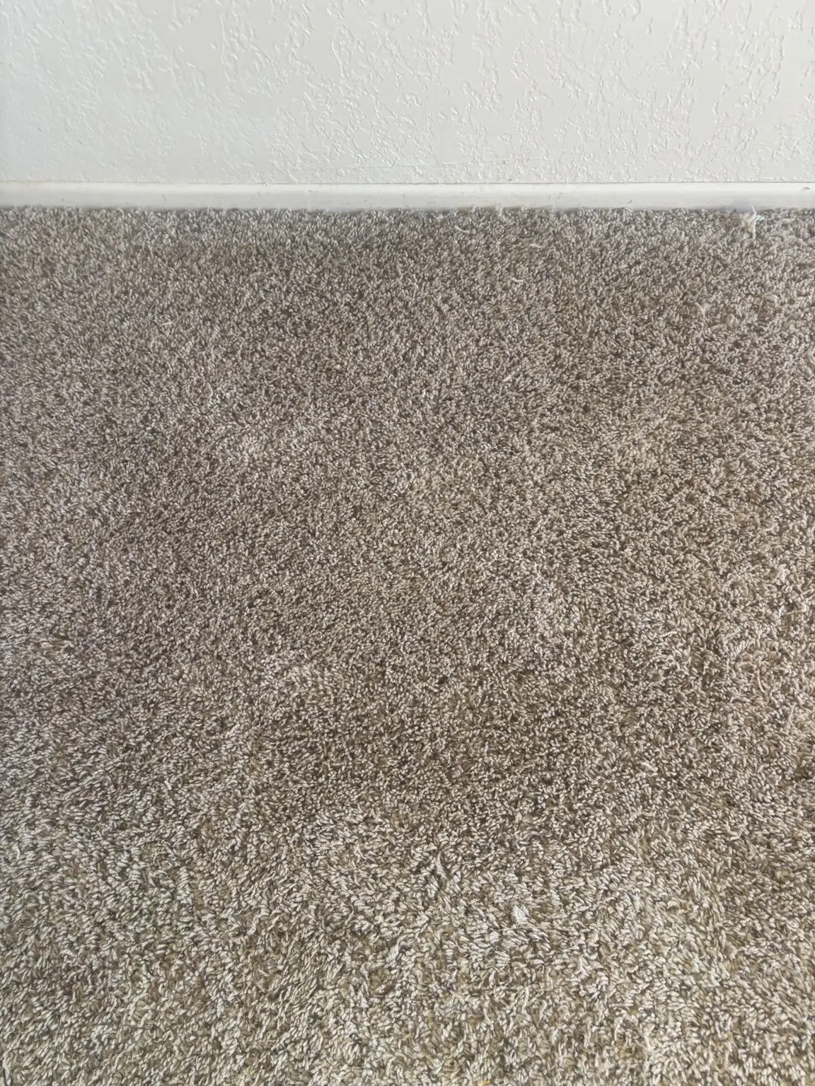 Carpet after burn spot patch repair