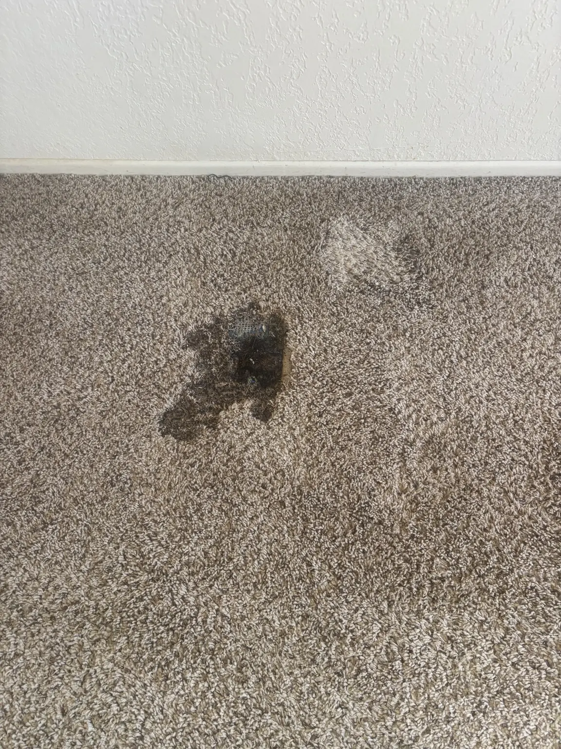 Burned carpet spot before precision patch repair