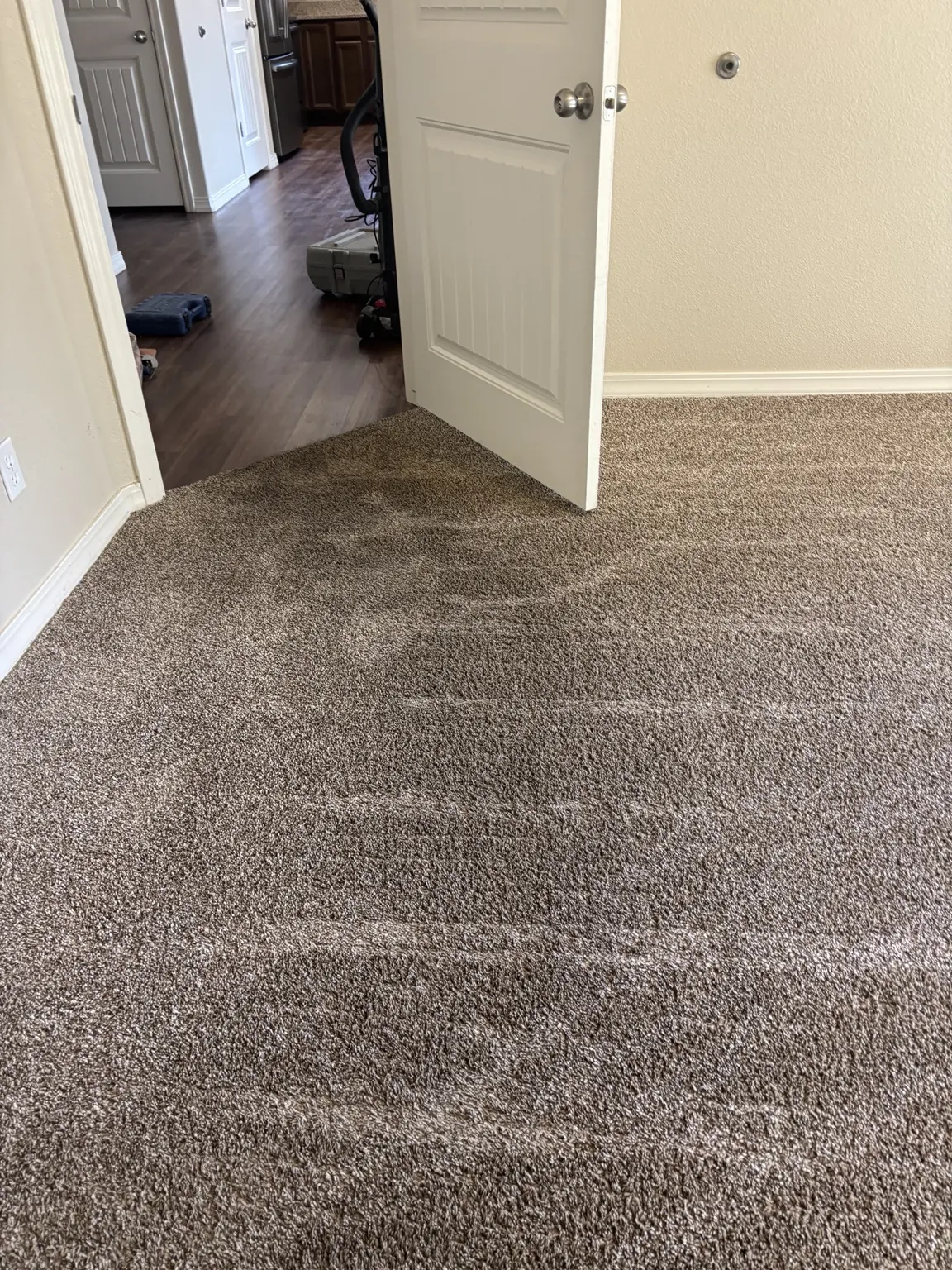 Professional carpet restretching tools in use on a loose carpet