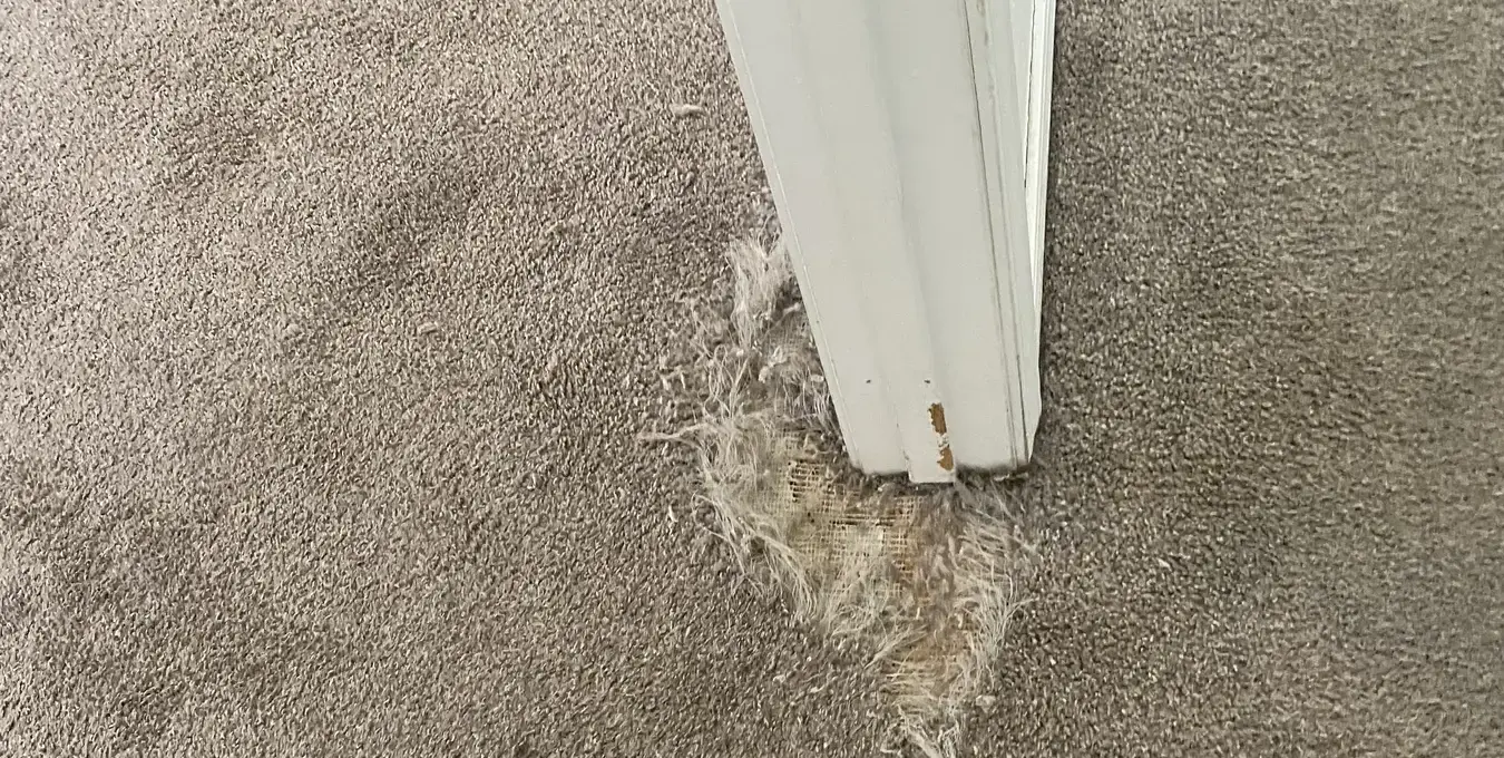 Carpet damage around a door jamb before precision patching