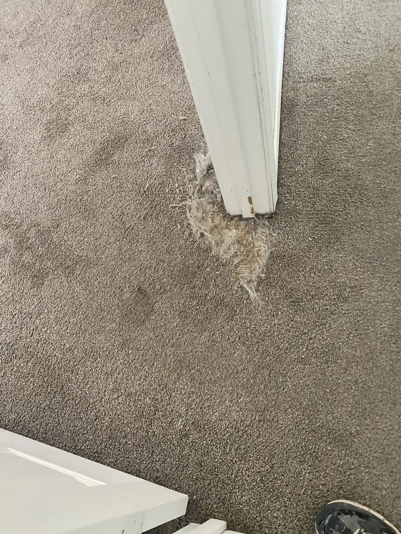 Carpet damage around a door jamb before precision patching