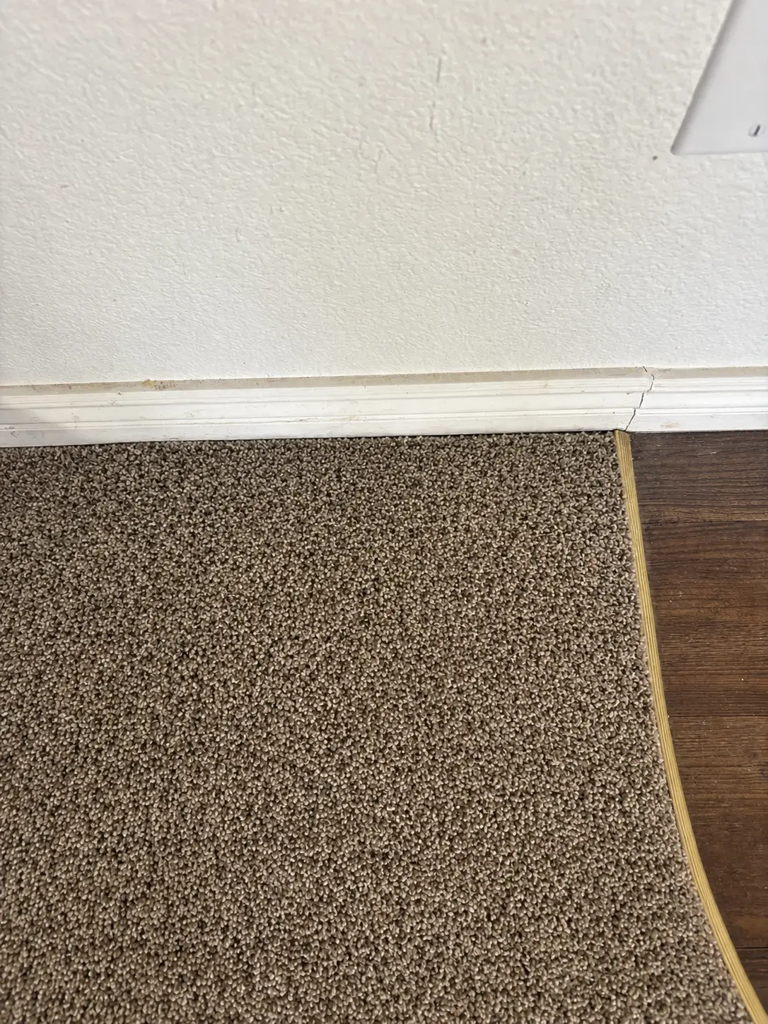 Clean repaired view of a curved carpet and hard-floor transition